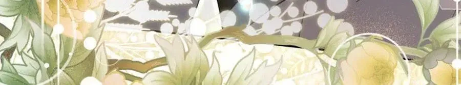 Time Limited Elixir of the Fallen Sega Chapter 100 page 66
