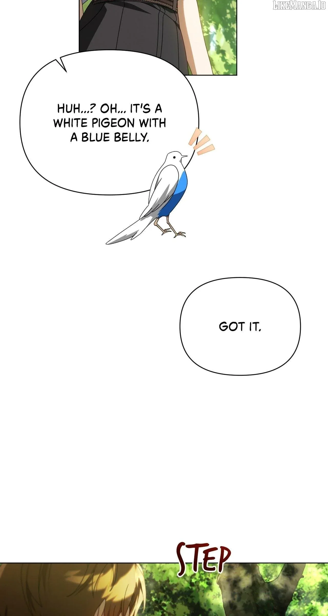To The Witch Who Forgot The Bird Chapter 34 page 71