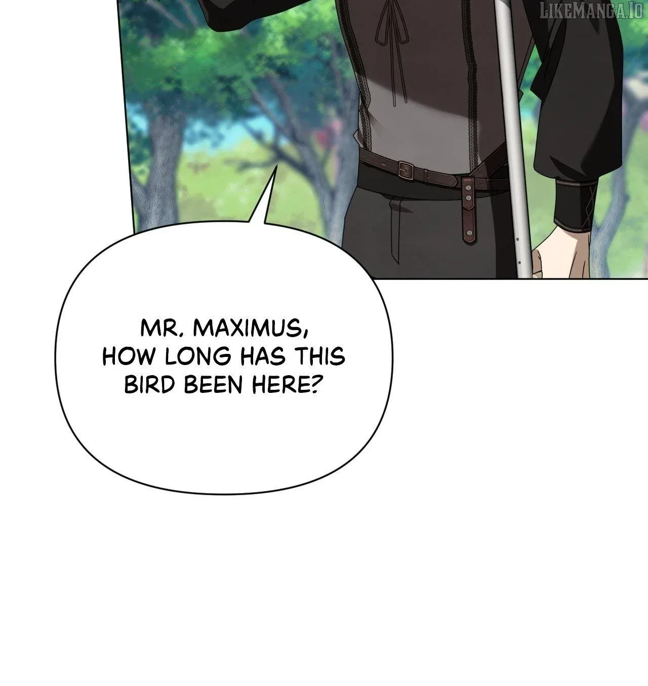 To The Witch Who Forgot The Bird Chapter 38 page 13