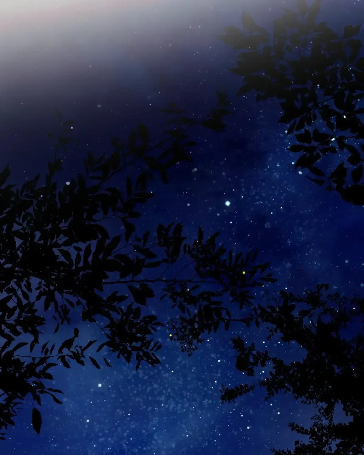 To The Witch Who Forgot The Bird Chapter 47 page 200