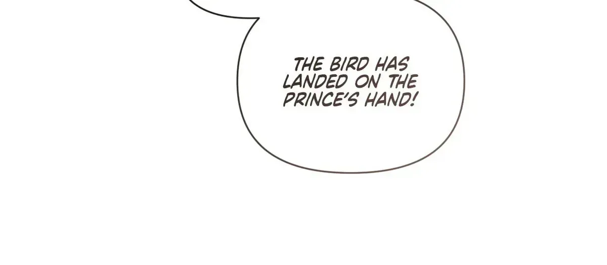 To The Witch Who Forgot The Bird Chapter 49 page 196
