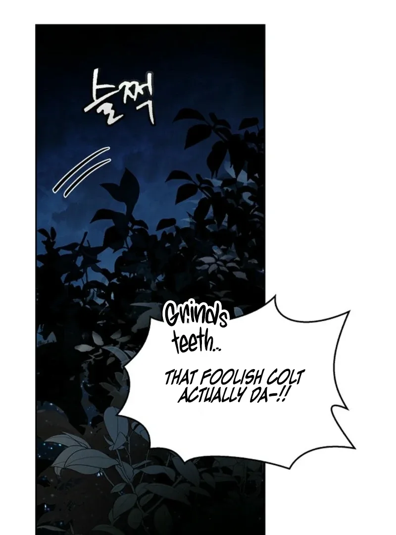 To the Witch Who Forgot the Birds Chapter 2 page 53