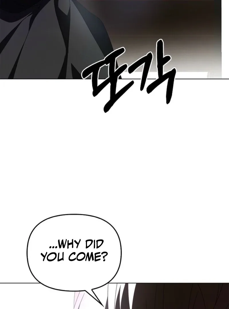 To the Witch Who Forgot the Birds Chapter 25 page 96