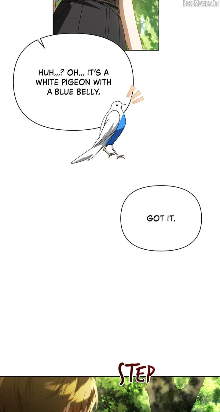 To the Witch Who Forgot the Birds Chapter 34 page 72