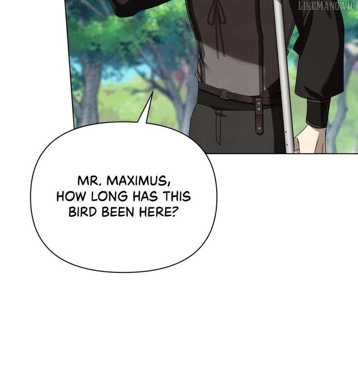 To the Witch Who Forgot the Birds Chapter 38 page 14