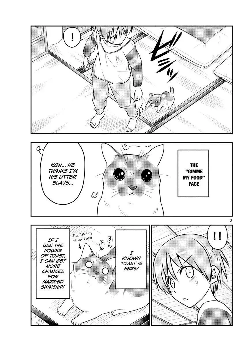 Tonikaku Kawaii Chapter 53 page 3