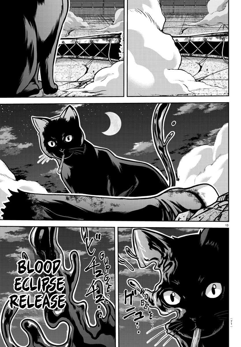 Tougen Anki Chapter 184 page 13