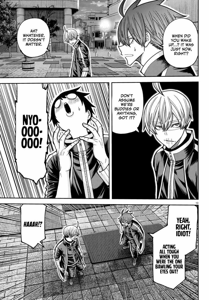 Tougen Anki Chapter 217 page 13