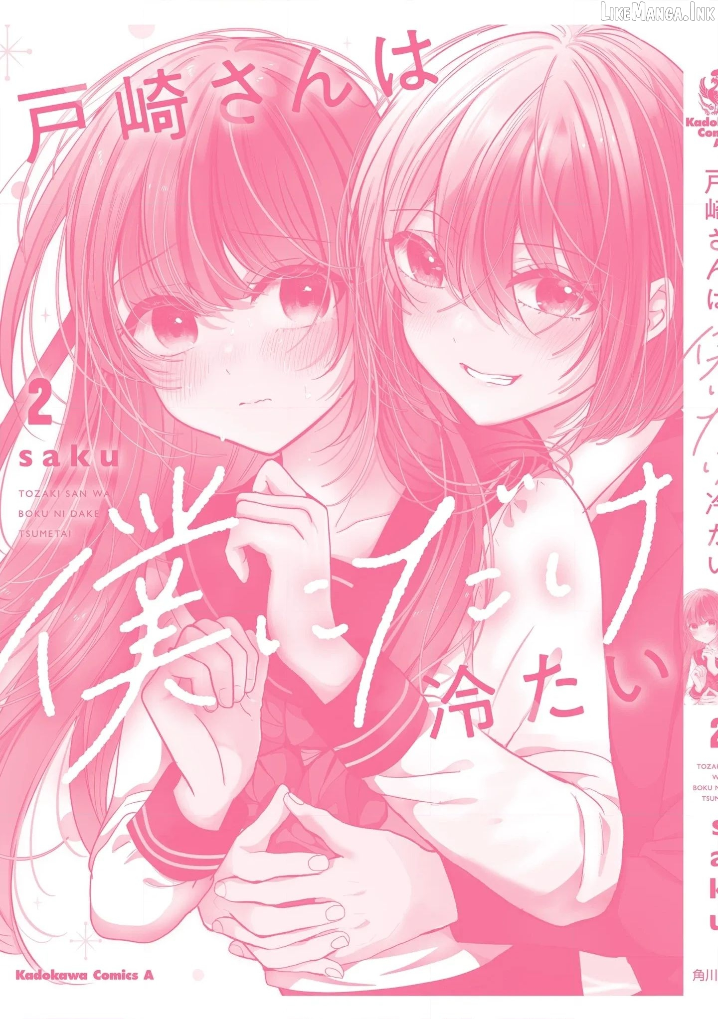 Tozaki-San Wa Boku Ni Dake Tsumetai Chapter 14.5 page 10