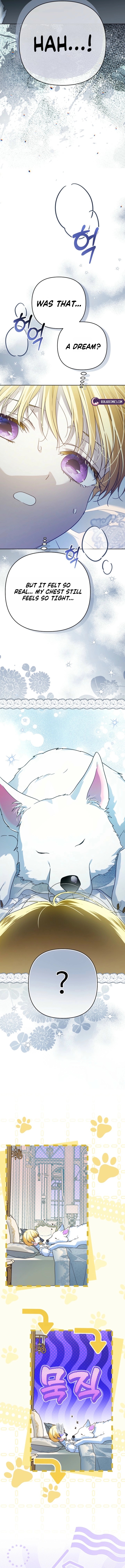 Travesti: I Became the Fake Prince Chapter 11 page 9