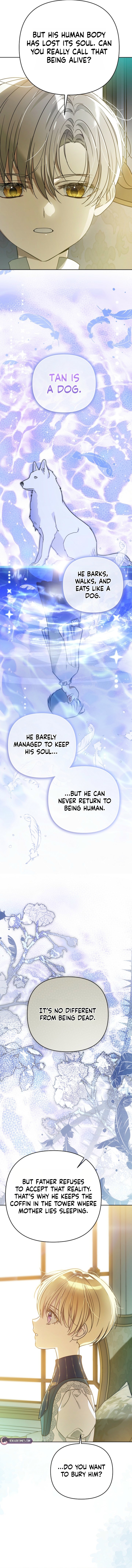 Travesti: I Became the Fake Prince Chapter 16 page 19