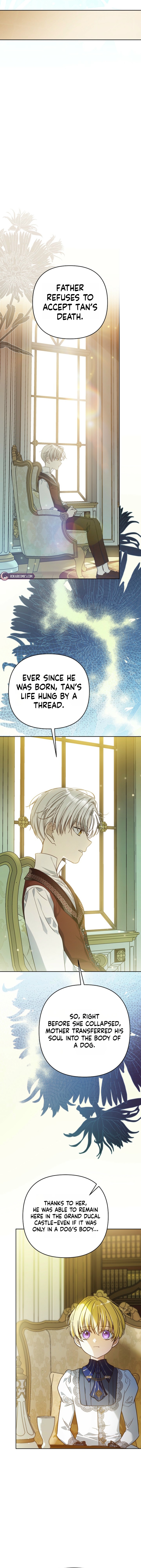 Travesti: I Became the Fake Prince Chapter 16 page 18
