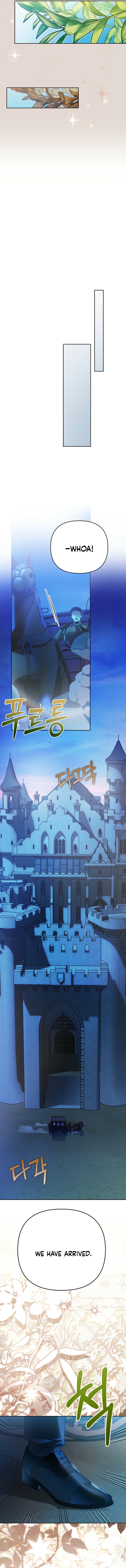 Travesti: I Became the Fake Prince Chapter 22 page 18