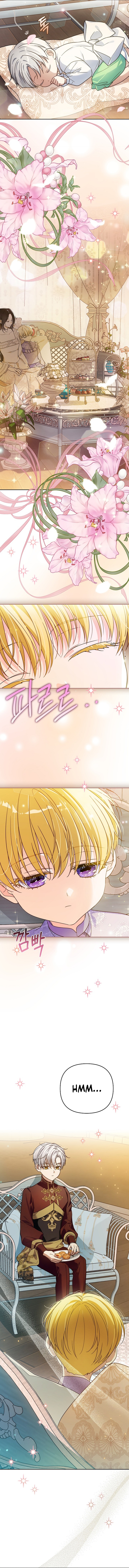 Travesti: I Became the Fake Prince Chapter 24 page 7