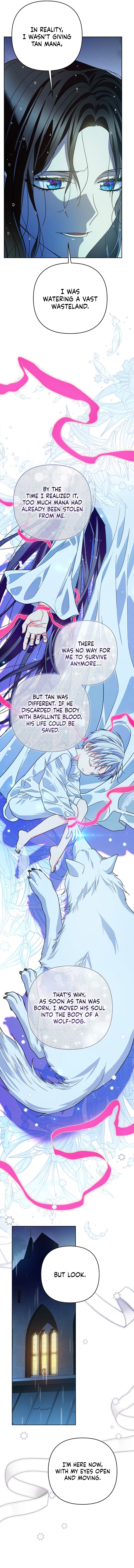 Travesti: I Became the Fake Prince Chapter 29 page 5