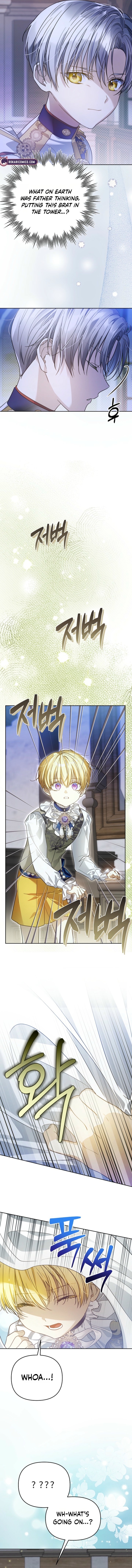 Travesti: I Became the Fake Prince Chapter 7 page 19