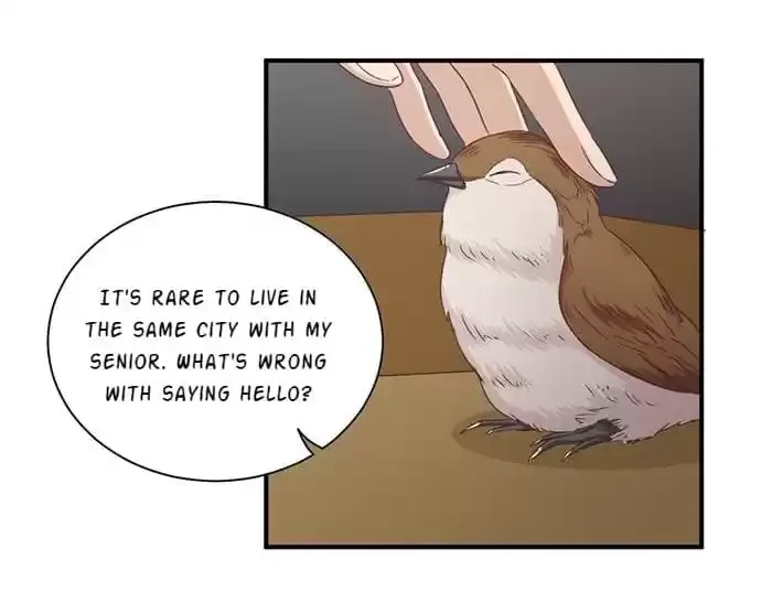 True Love was Right Beside Me Chapter 84 page 3