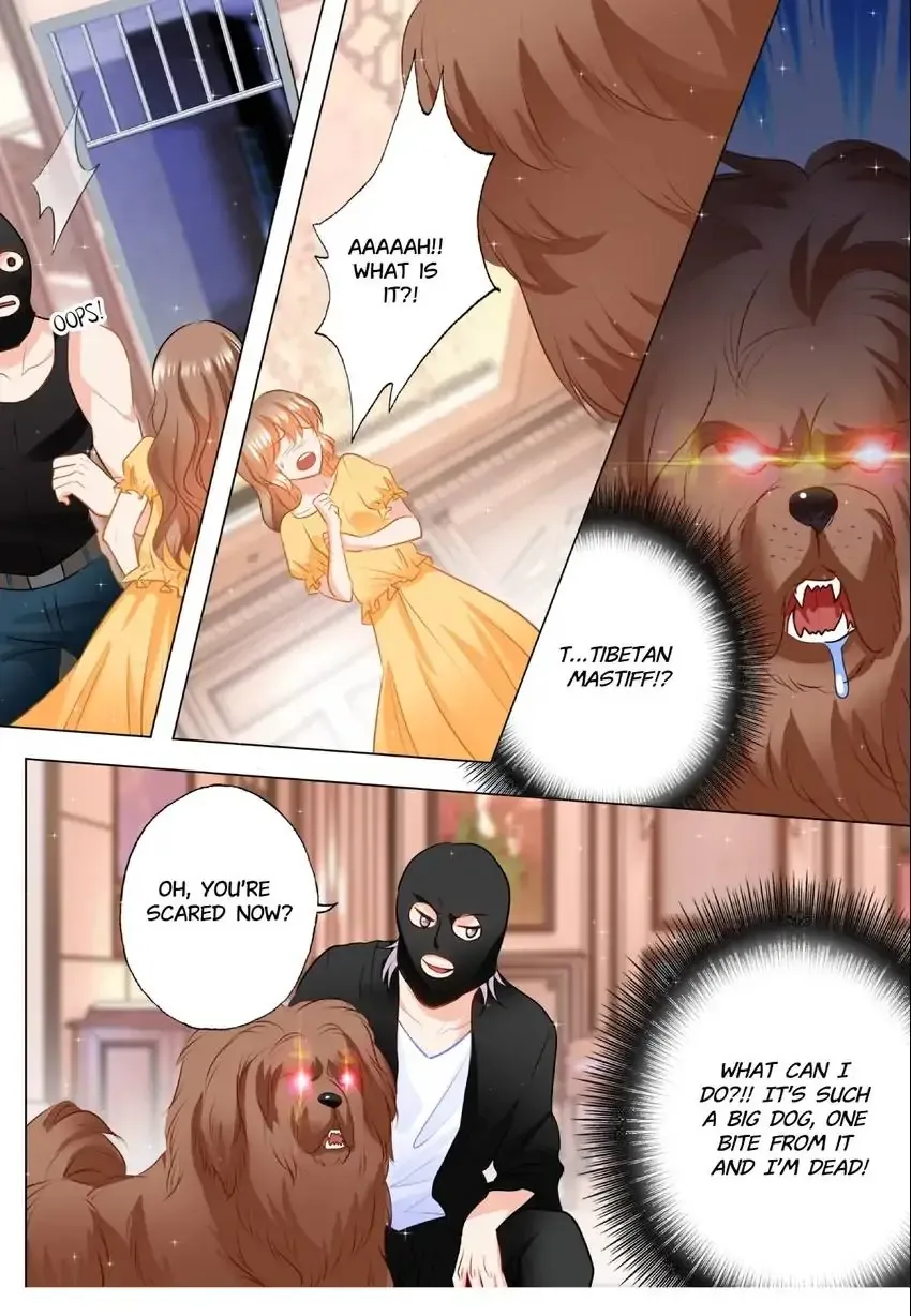 Warm Wedding Chapter 97 page 6