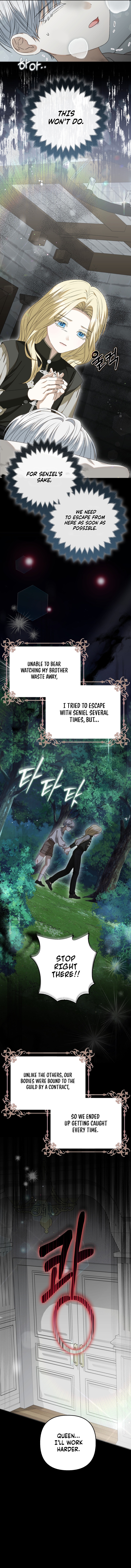 Welcome to the Café of the Dark Guild’s Successor Chapter 1 page 11