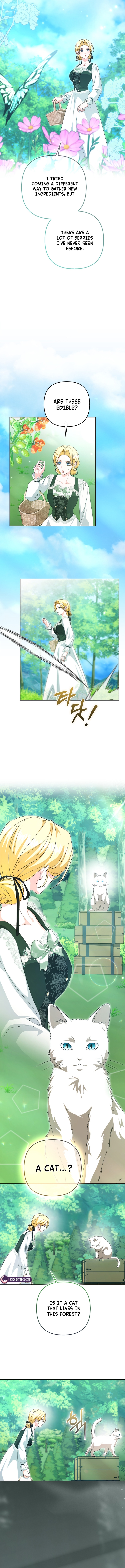 Welcome to the Café of the Dark Guild’s Successor Chapter 23 page 10