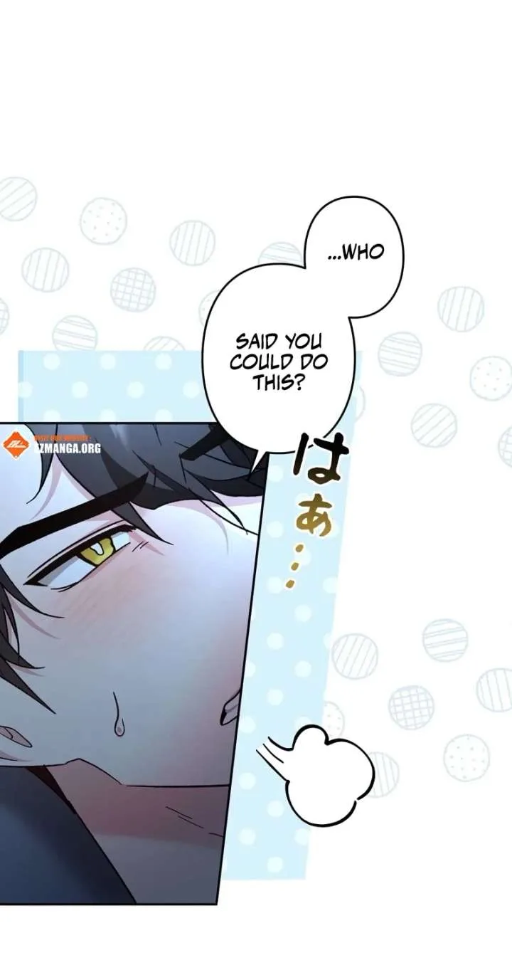 What Remains in the Damaged Place Chapter 24 page 3