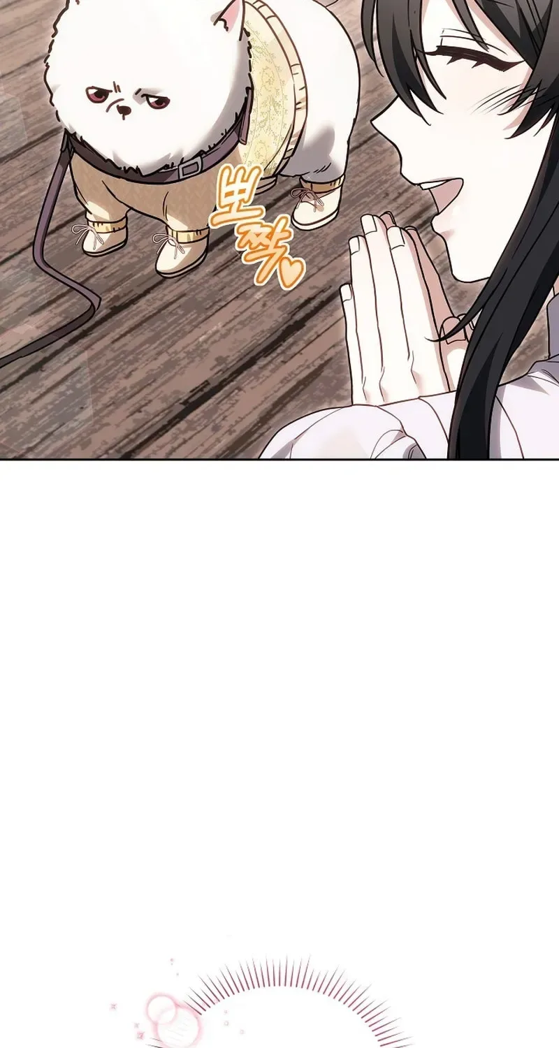 When My Pet Became the Villain Chapter 13 page 27