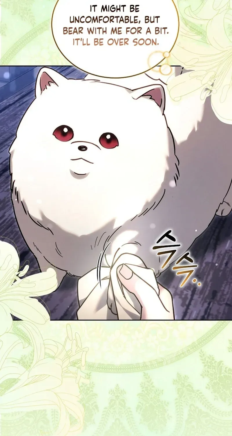When My Pet Became the Villain Chapter 13 page 90