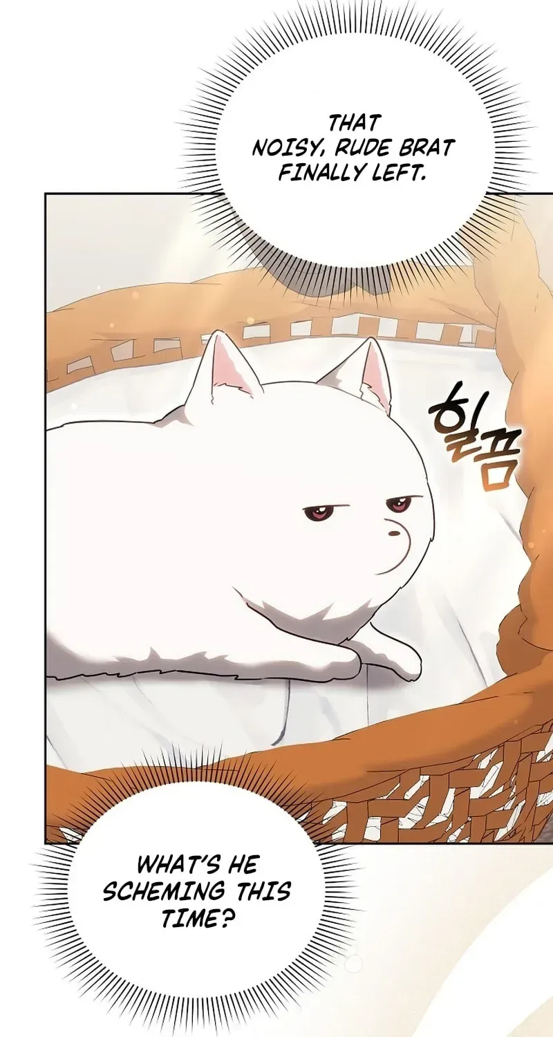 When My Pet Became the Villain Chapter 15 page 38