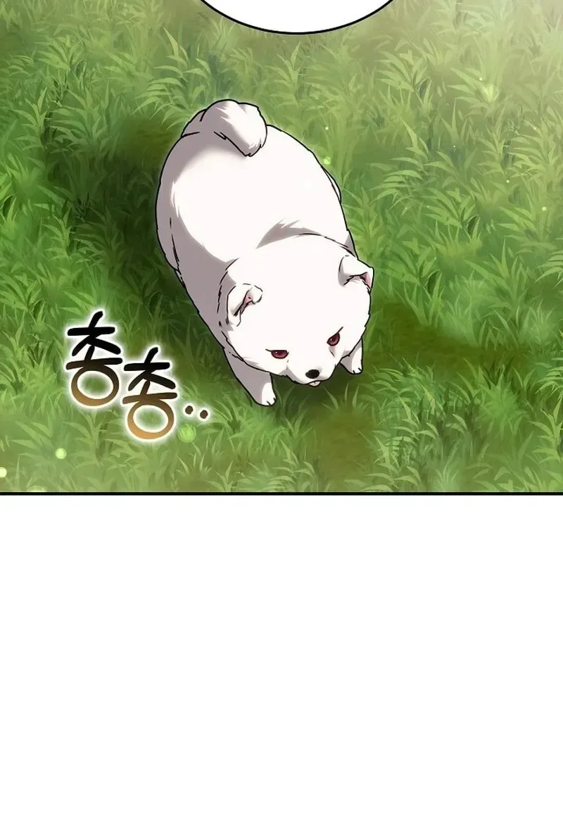 When My Pet Became the Villain Chapter 19 page 62