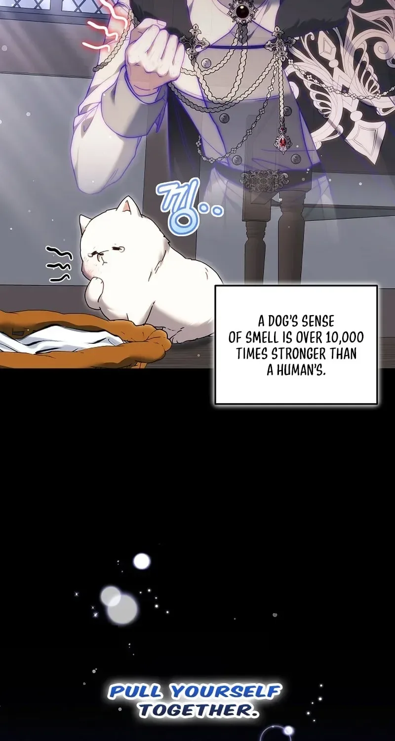 When My Pet Became the Villain Chapter 5 page 30