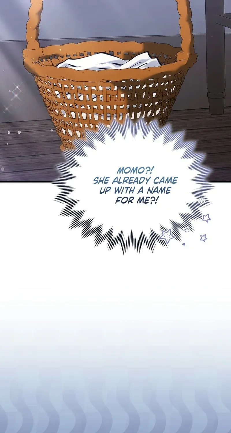 When My Pet Became the Villain Chapter 5 page 23