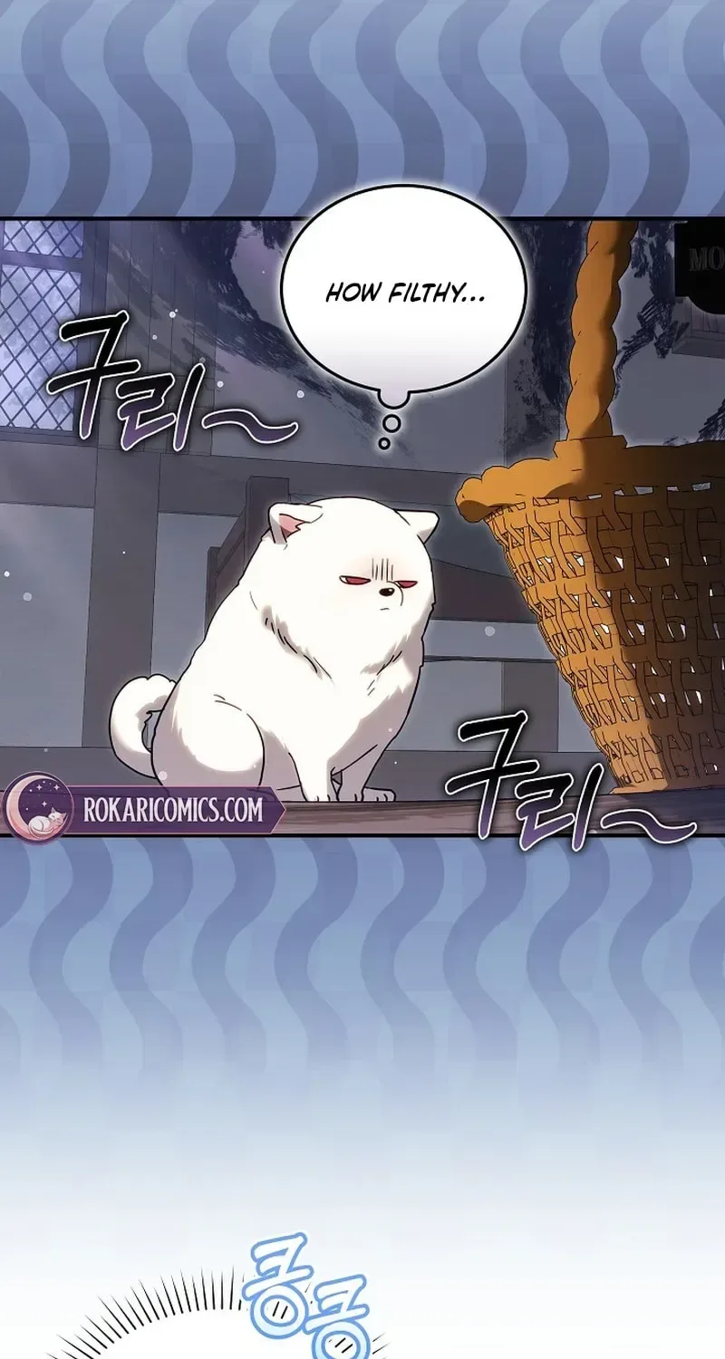 When My Pet Became the Villain Chapter 5 page 24