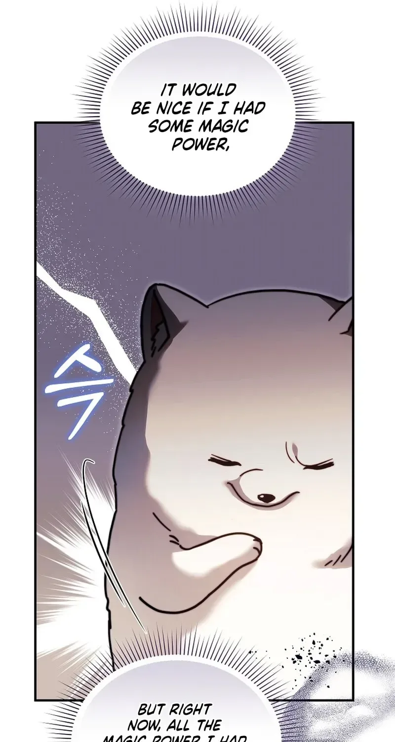 When My Pet Became the Villain Chapter 5 page 14