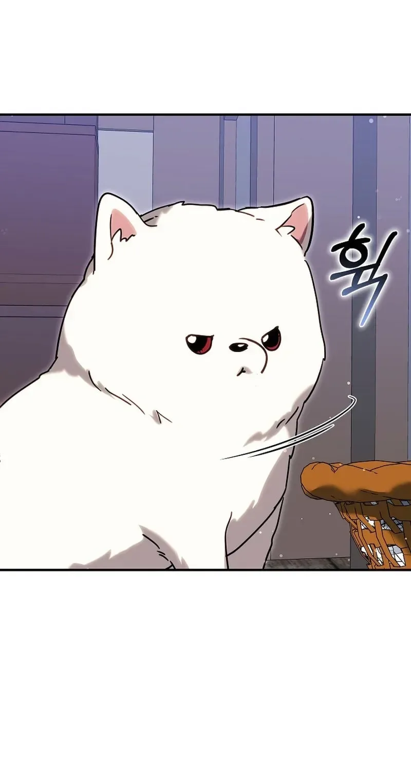 When My Pet Became the Villain Chapter 5 page 33