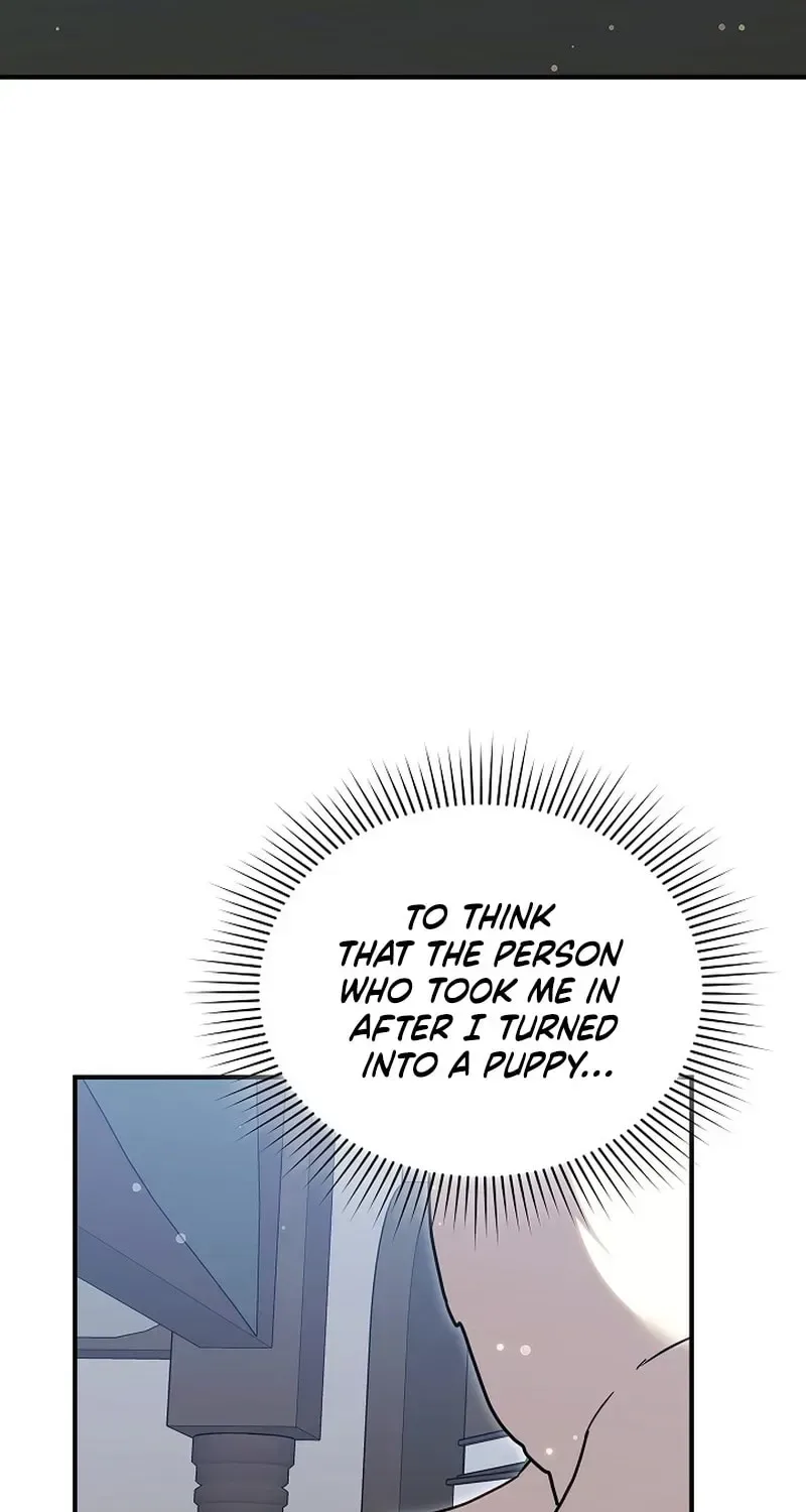 When My Pet Became the Villain Chapter 5 page 36