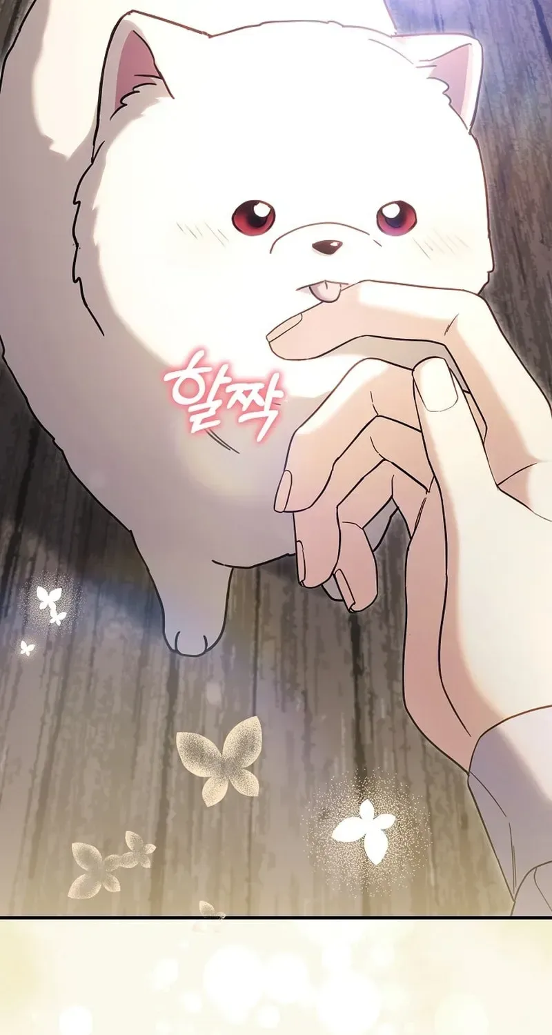 When My Pet Became the Villain Chapter 5 page 114