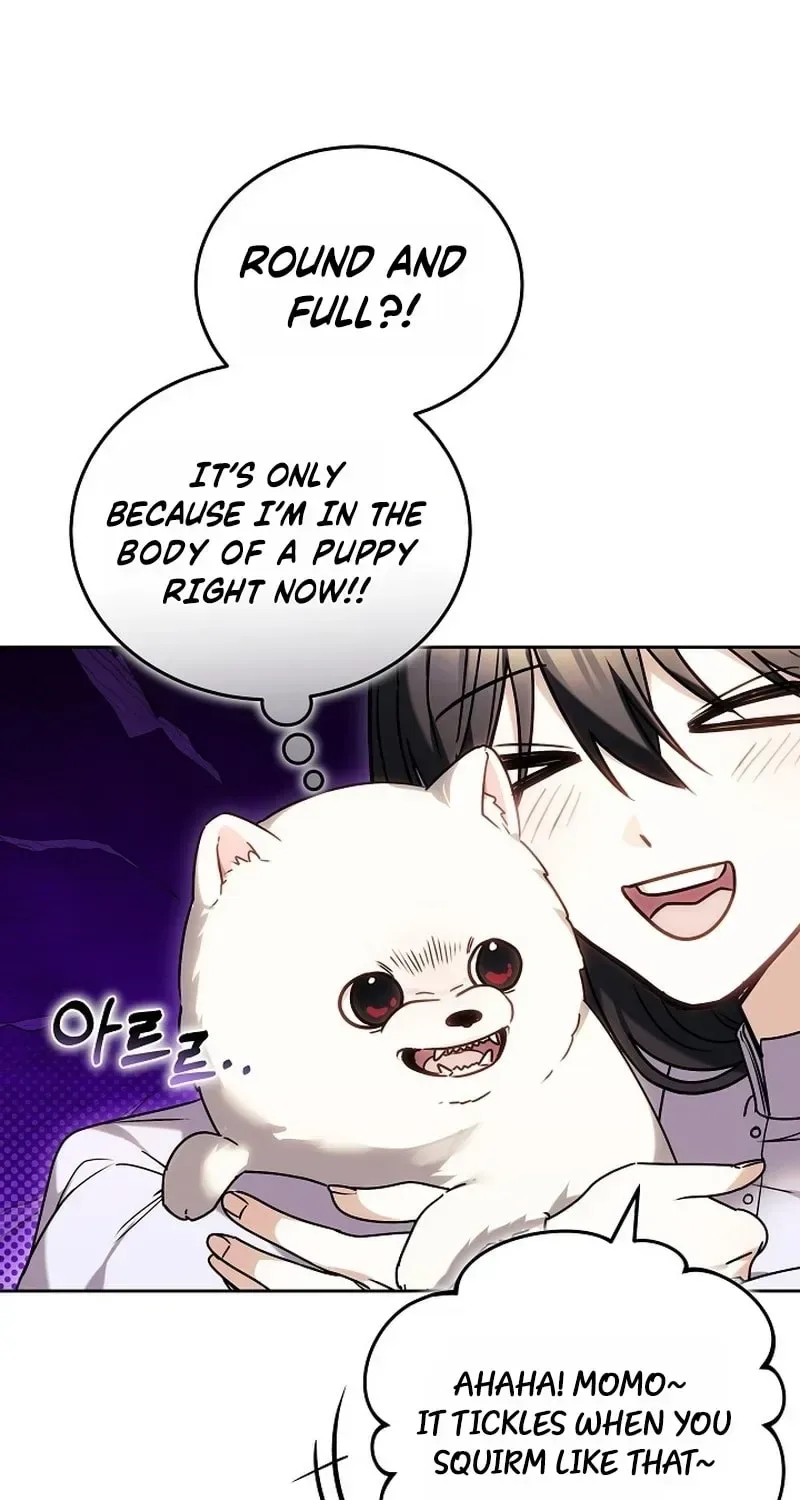 When My Pet Became the Villain Chapter 6 page 63