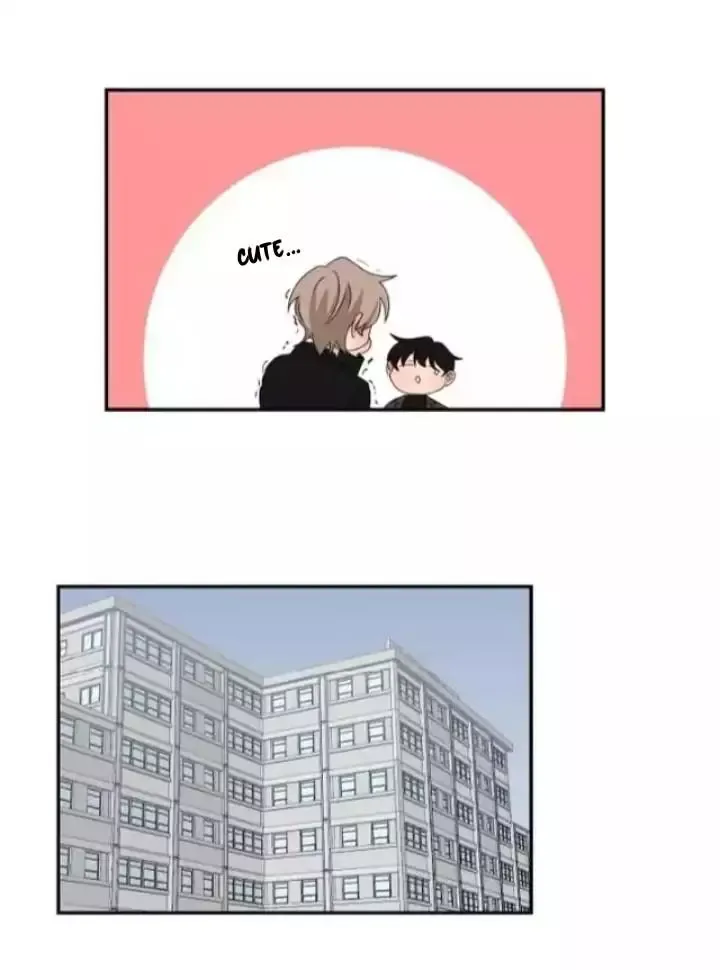 When The Yakuza Falls Inlove Chapter 45 page 14