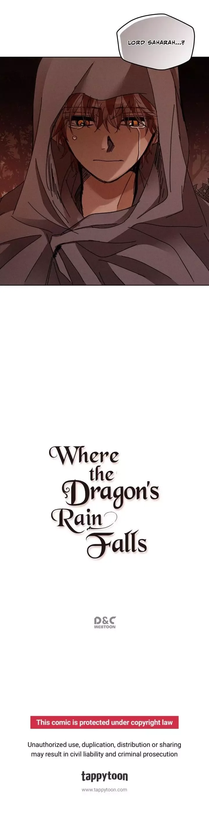 Where the Dragon's Rain Falls Chapter 120 page 20