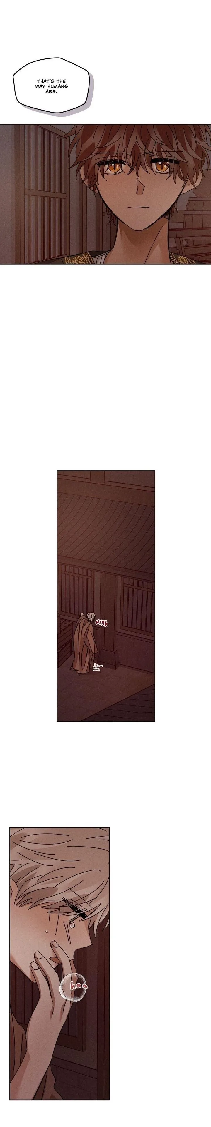 Where the Dragon's Rain Falls Chapter 132 page 17