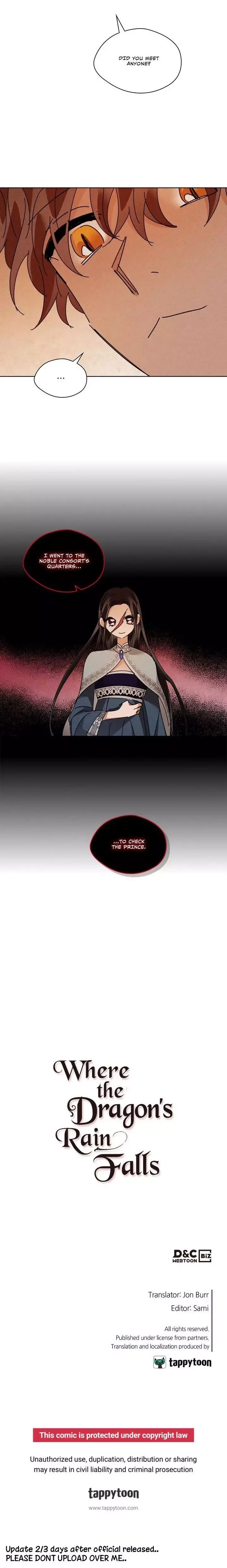 Where the Dragon's Rain Falls Chapter 156 page 16