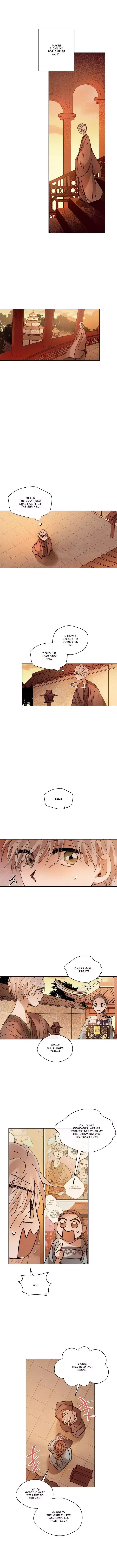 Where the Dragon's Rain Falls Chapter 162 page 6