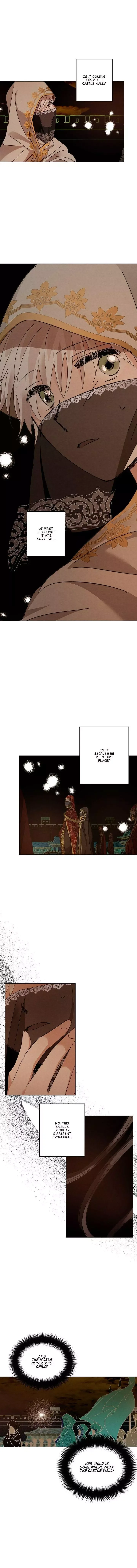 Where the Dragon's Rain Falls Chapter 167 page 7