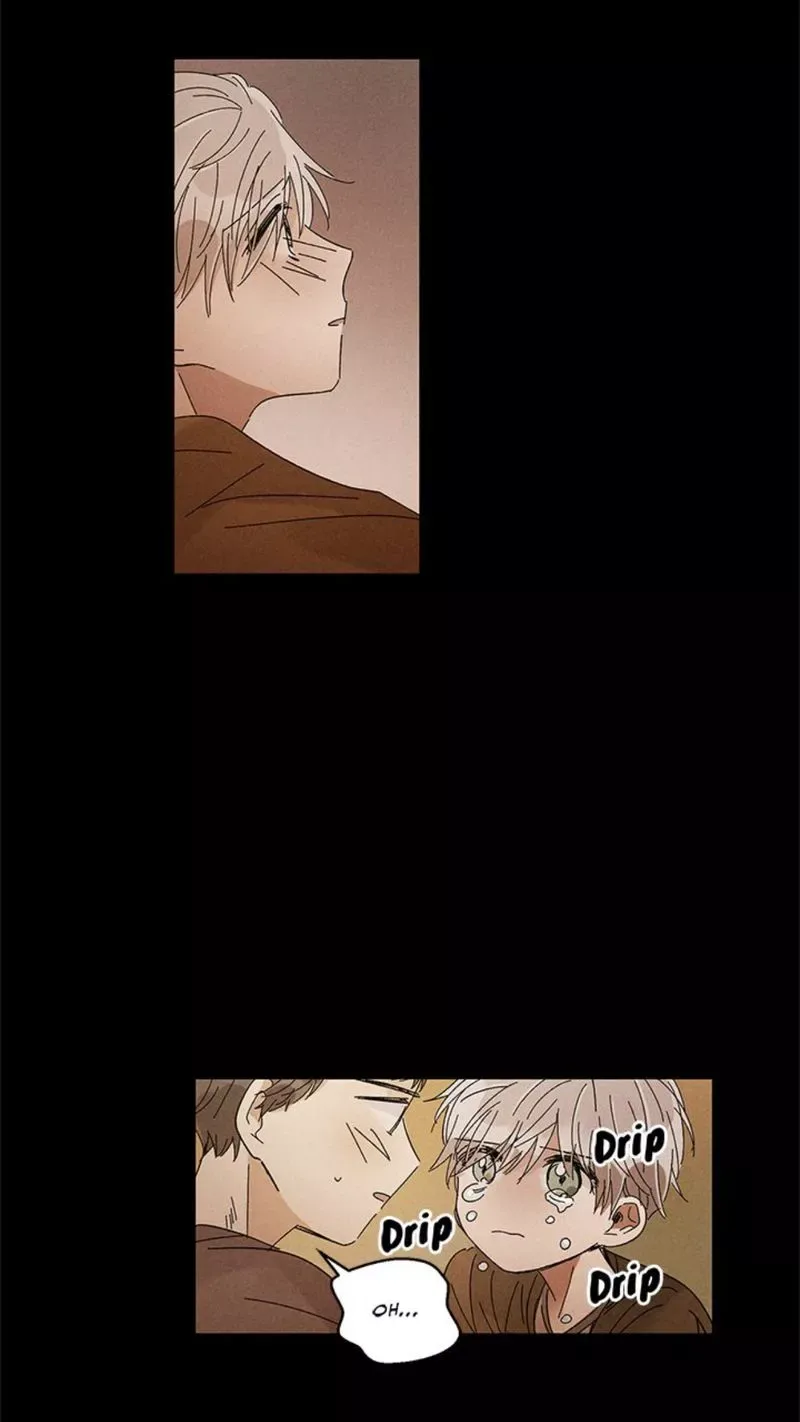 Where the Dragon's Rain Falls Chapter 28 page 19