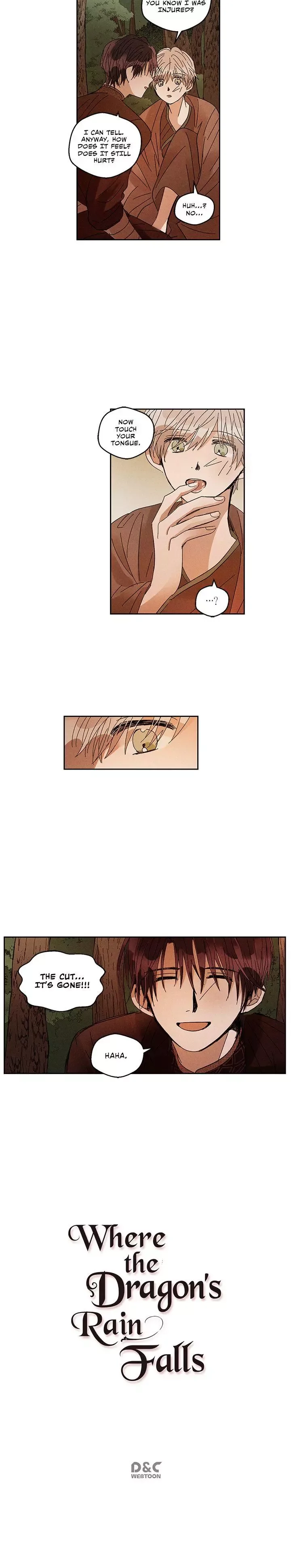 Where the Dragon's Rain Falls Chapter 33 page 12