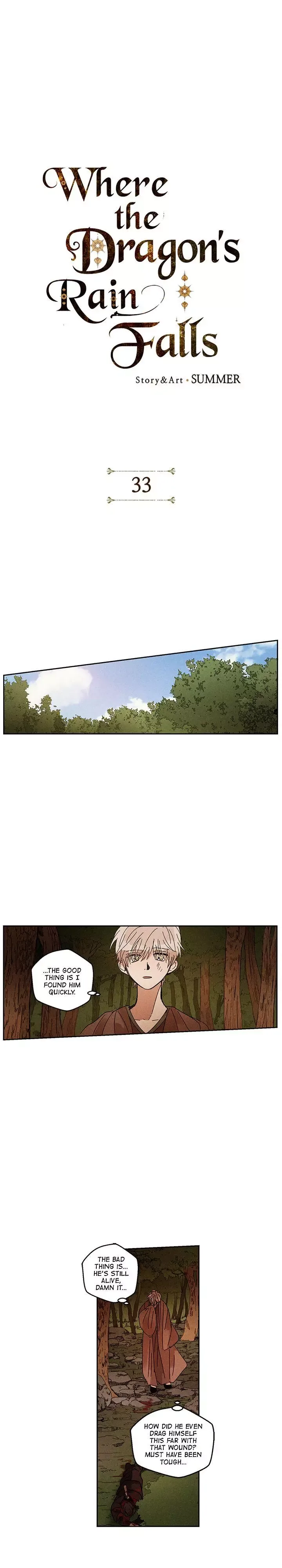 Where the Dragon's Rain Falls Chapter 33 page 1
