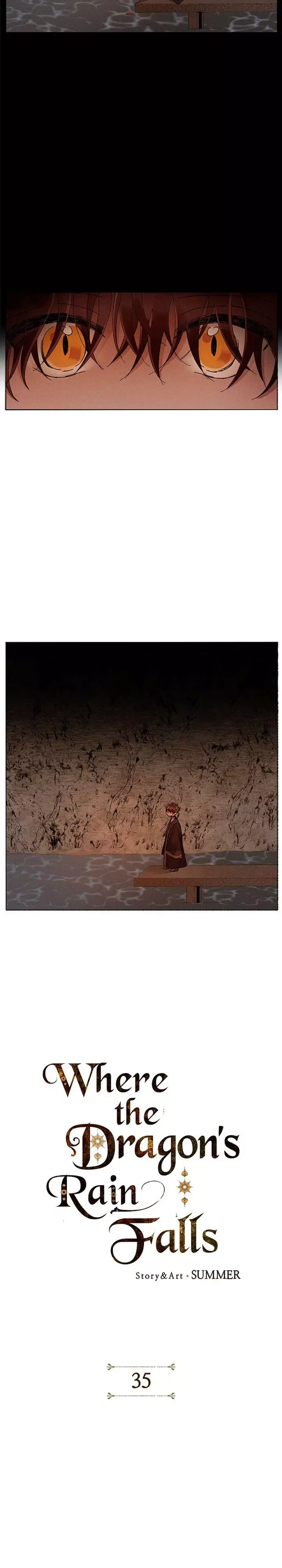 Where the Dragon's Rain Falls Chapter 35 page 3