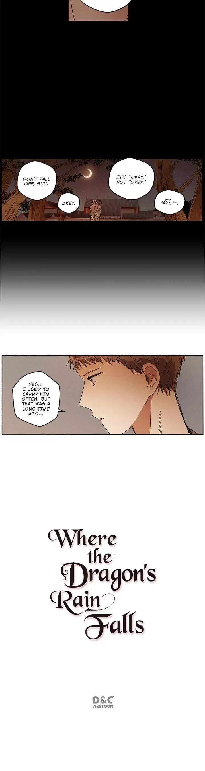 Where the Dragon's Rain Falls Chapter 35 page 11