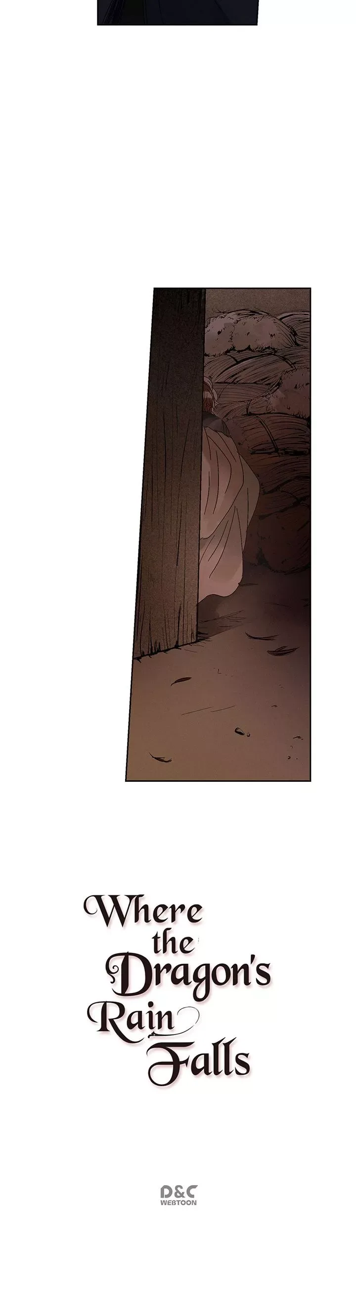 Where the Dragon's Rain Falls Chapter 4 page 11