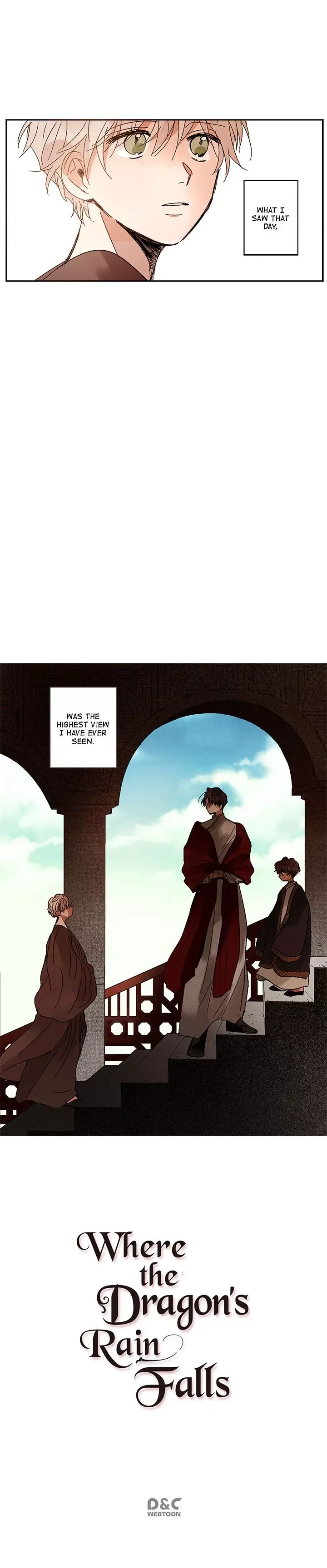 Where the Dragon's Rain Falls Chapter 6 page 11